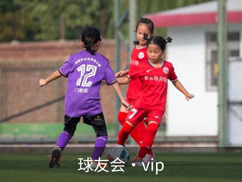 球友会·vip品牌故事